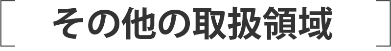 その他の取扱領域